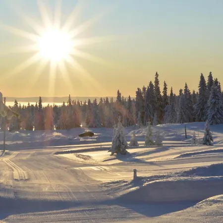Koiedalen & Ski - 2 Sov - Elbillader - 60 Min Osl 3*