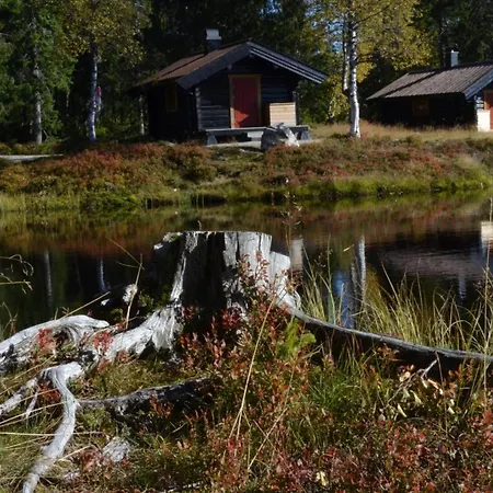 Koiedalen & Ski - 2 Sov - Elbillader - 60 Min Osl Gasthof